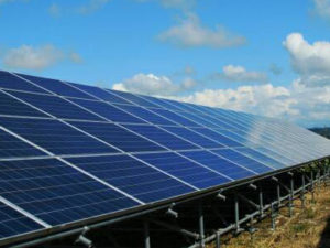 ソーラーパワー 太陽光発電所回りの草刈り 除草作業